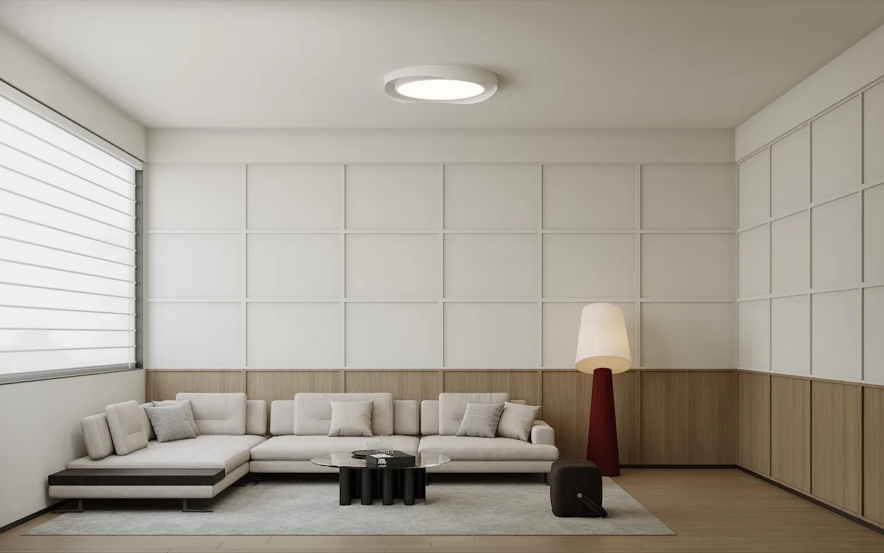 California modern living room